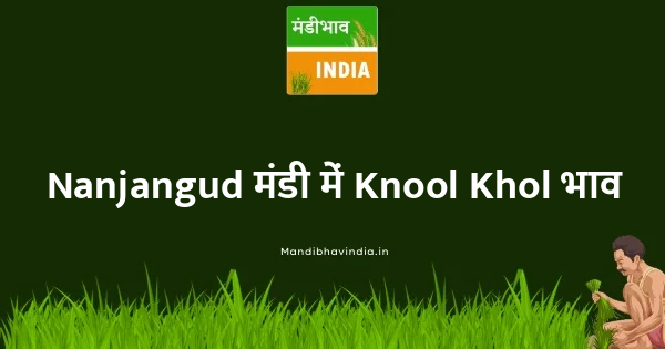 Knool Khol भाव